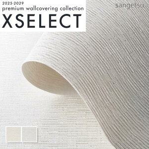 ǎ ̂t ̂Ȃ NX TQc D