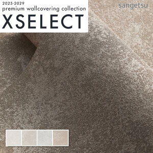 ǎ ̂t ̂Ȃ NX TQc D sRF