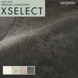 ǎ ̂t ̂Ȃ NX TQc GNZNg infich