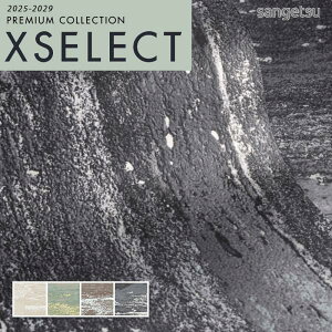 ǎ ̂t ̂Ȃ NX TQc GNZNg infich