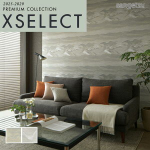 ǎ ̂t ̂Ȃ NX TQc GNZNg Cool