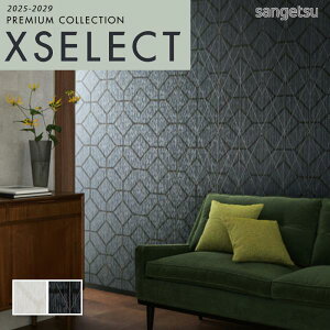 ǎ ̂t ̂Ȃ NX TQc GNZNg Rich