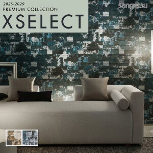 ǎ ̂t ̂Ȃ NX TQc GNZNg Rich