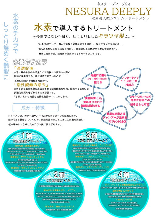 楽天市場】ネスラー ディープリー システムトリートメント 4 1000g  