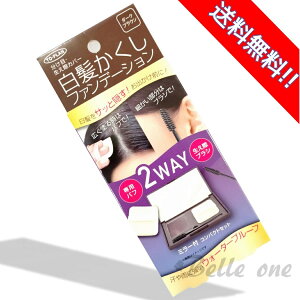 TO-PLAN t@f[V _[NuE@mWA~ RpNg gv@g[v yőEyzyzlR|Xz