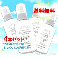 【4本セット】アルバ SSミョウバン パーフェクトスプレー 100g　【宅急便コンパクト配送】全身デオドラン…