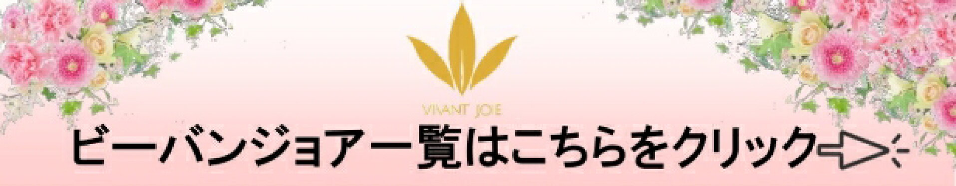 ビーバンジョア一覧