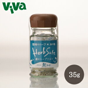 Ԃ₵ C̃n[u\g 35g sj[Ai/NX}X̊C̉gpt