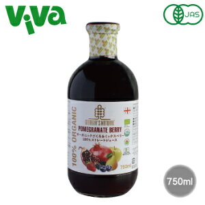 I[KjbN&~bNXx[100%Xg[gW[X 750ml I[T