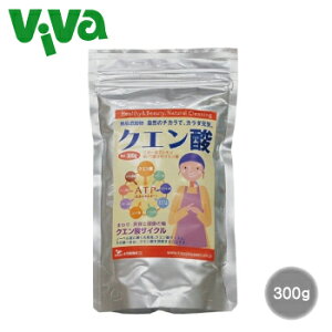 y|Xg^SzΉzؑ]HY NG_ 300g \[