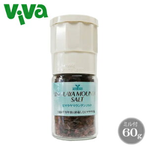 ܂ q}}Ee\g ~60g ~lLx q}≖ VR≖  ~t