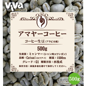 A}[R[q[  G1 ~}[Yi500gjXyVeBR[q[ ArJ K amayar coffee