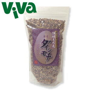 ܂ Y _CV` 쌧Y 唞i]j 300g