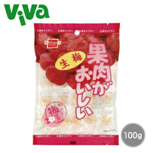 y|Xg^SzΉz Nt[Y ʓ~ 100g