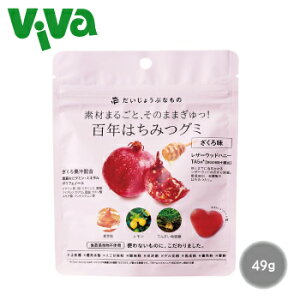 y|Xg^SzΉz傤ԂȂ SN݂͂O~E떡 49g Nt[Y