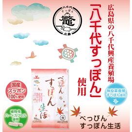 楽天市場】ヘルシーレイ カーボン (1箱・10本入) 鈴木光線治療研究所 