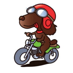 ビベル楽天市場店