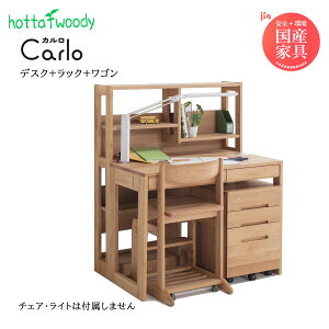 hotta woody fXN3_Zbg J 3014 90 g A_[ ؐ {bN{S 
