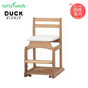hotta woody fXN`FA _bN`FA No.8 IV AC{[ 42.5 s52.5 78 i A_[ ؐ ֎q wKCX rO  