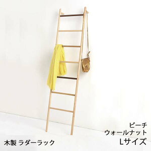 Latree g _[nK[ L ؐ PL1ONE-0031600-MXUF I[N r[` EH[ibg ͂ [bN