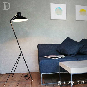 fBNbZ A tAv Mt 2FIׂ LF4472BK ubN LF4472WH zCg 42 s41 115cm AnXq fUC tACg 