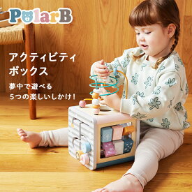 Polar B アクティビティボックス 型はめ 知育玩具 木製玩具 赤ちゃん ベビー 木のおもちゃ 北欧 出産祝い 動物 プレゼント 出産祝い