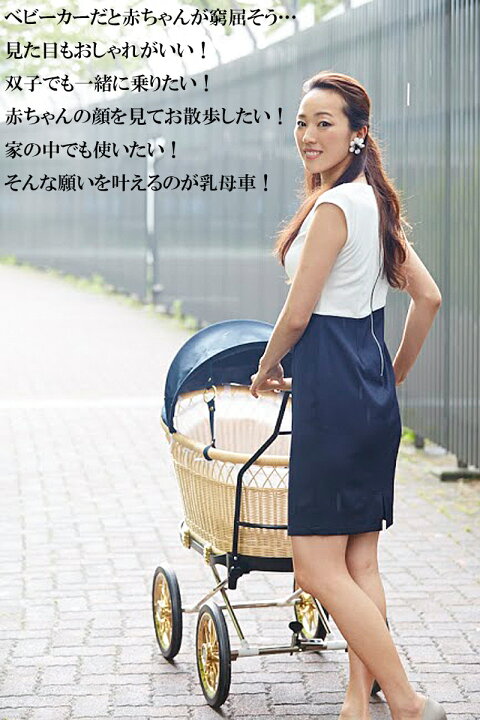 楽天市場】乳母車 東京乳母車 プスプス ブラック 幌付き 二人乗り 室内  
