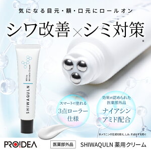 VN pN[ 򕔊Oi iCAVA~hz VP uCgjO }bT[W V~΍  CICA XLPA pWN[ ɗD