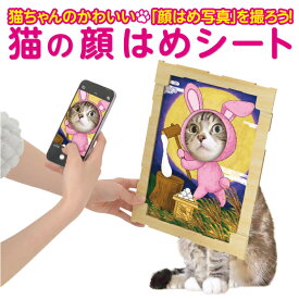 猫の顔はめシート 猫 顔はめ ペット 犬 SNS インスタ Youtube Twitter X tiktok facebook 投稿 待ち受け 待受け フォトフレーム ダンボール 段ボール ネコ 素材 写真 季節のフレーム 猫 顔はめパネル 遊び道具 かわいい 年賀状