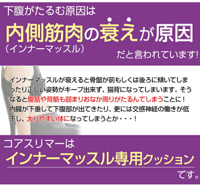 腹筋クッションインナーマッスル鍛えるコアスリマー<送料無料>コアマシン腹筋マシーン背筋筋トレクッションダイエットお腹健康トレーニングダイエット器具グッズ