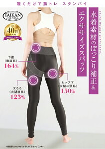 MX Xpbc fB[X XpbcX|[c ėp WEFA W EFA tBbglX tBbglX  tBbglXEFA X|[cMX X|[cXpbc _CGbg 