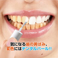 デンタルパール 歯 マニキュア ホワイトニング ホームホワイトニング ホームケア ペン ペンシル 自宅 白 …