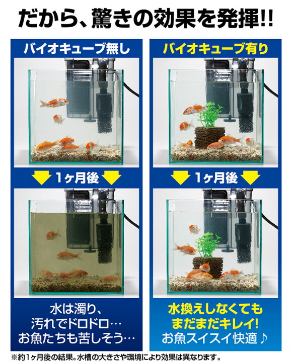 楽天市場 濾過 濾過装置 濾過フィルター 水槽 浄化生物 水換え 濾過器 水 濾過材 濾過マット 濾過機 ろ過装置 ろ過 小型 熱帯魚 インテリア 清掃 清潔 フィルター 植物 ろ材 お魚天国 バイオキューブ ヴィヴィアン マルシェ