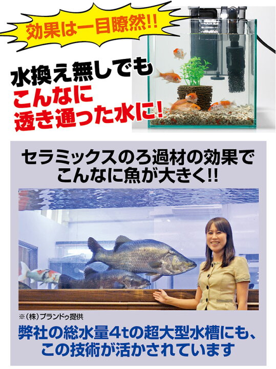 楽天市場 スーパー セール Sale ポイント 濾過 濾過装置 濾過フィルター 水槽 浄化生物 水換え 濾過器 水 濾過材 濾過マット 濾過機 ろ過装置 ろ過 小型 熱帯魚 インテリア 清掃 清潔 フィルター 植物 ろ材 お魚天国 バイオキューブ ヴィヴィアン マルシェ
