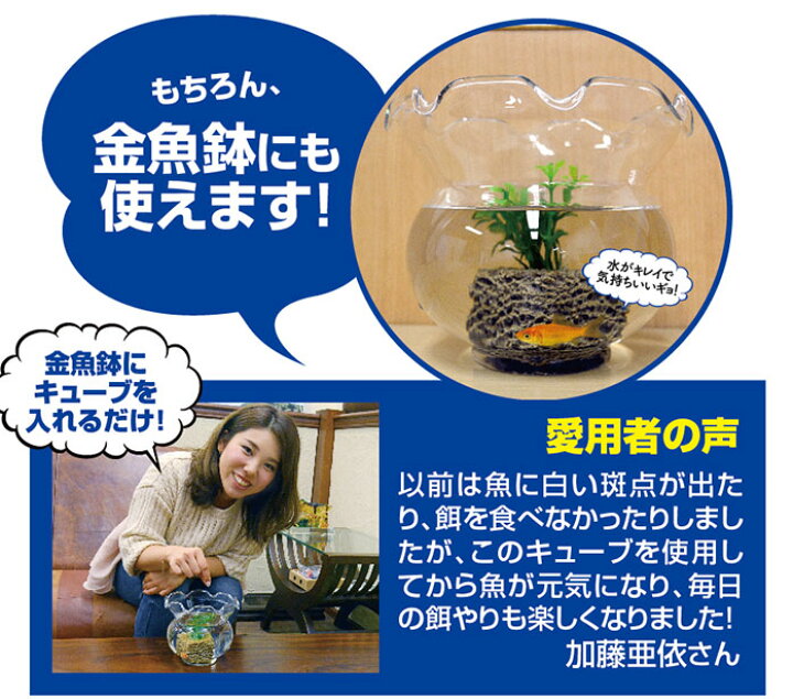 限定製作 濾過 濾過装置 濾過フィルター 水槽 浄化生物 水換え 濾過器 水 濾過材 濾過マット 濾過機 ろ過装置 ろ過 小型 熱帯魚 イン Shipsctc Org