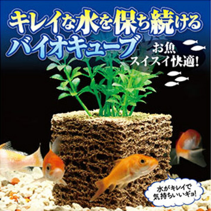 楽天市場 濾過 濾過装置 濾過フィルター 水槽 浄化生物 水換え 濾過器 水 濾過材 濾過マット 濾過機 ろ過装置 ろ過 小型 熱帯魚 インテリア 清掃 清潔 フィルター 植物 ろ材 お魚天国 バイオキューブ ヴィヴィアン マルシェ