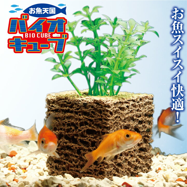 楽天市場 濾過 濾過装置 濾過フィルター 水槽 浄化生物 水換え 濾過器 水 濾過材 濾過マット 濾過機 ろ過装置 ろ過 小型 熱帯魚 インテリア 清掃 清潔 フィルター 植物 ろ材 お魚天国 バイオキューブ ヴィヴィアン マルシェ