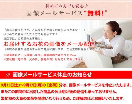 ★土日祝もあす楽★花束お供えお悔やみ花おまかせ(5,500円)【送料無料】お彼岸お盆初盆生花フラワーフラワーギフトボリュームお花葬儀枕花法事仏事命日仏花供花即日ペットお悔み花百合ゆり電報贈答花屋