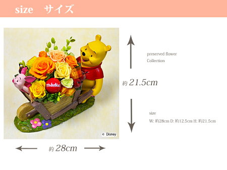 【送料無料】くまのプーさんディズニープリザーブドフラワー誕生日結婚祝いプレゼント開店祝い開業祝い移転祝い新築祝いビジネスフラワーギフト結婚記念日出産祝い退職送別会花屋