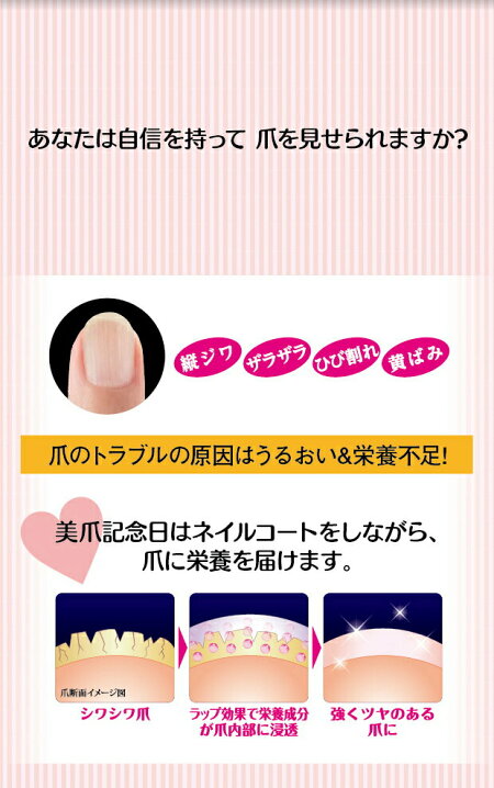 楽天市場 爪 美容液 保護 保湿 補修 ネイル ダメージ ケア 割れやすい 速乾 ぷっくり 香り 乾燥 薄い ジェル風 ネイル ネイルオイル レディース ツヤ 補強 栄養成分 美容成分 ガード 浸透型 マニキュア 美爪記念日 プロテクトネイル ヴィヴィアン ネオ