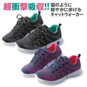 Xj[J[ fB[X y Ռz y y  ʋ C Ȃ ₷ Ch   b L Ȑ ɂ EH[LO N Ȃ ӂӂ C\[ ^