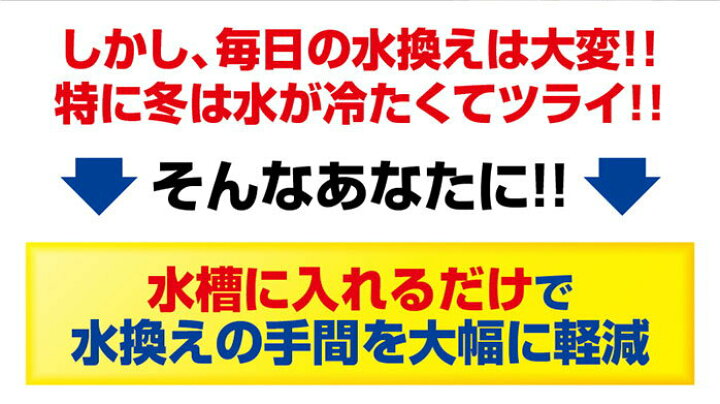 楽天市場 濾過 濾過装置 濾過フィルター 水槽 浄化生物 水換え 濾過器 水 濾過材 濾過マット 濾過機 ろ過装置 ろ過 小型 熱帯魚 インテリア 清掃 清潔 フィルター 植物 ろ材 お魚天国 バイオキューブ ヴィヴィアン ネオ