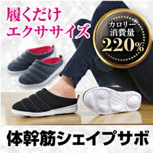 y10%OFFN[| 10/9 1:59܂Łz _CGbgXbp _CGbgT_ NXbp NT_ [V[Y fB[X  ItBX  ėp  􂦂 _CGbg r X