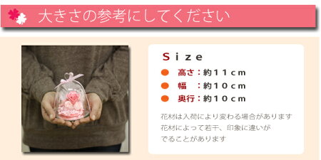 プリザーブドフラワーギフト花誕生日プレゼント送料無料ブリザードフラワーブリザードフラワ結婚祝い誕生日プレゼント母女性フラワーガラスドームガラスケース開店祝いガラスグラスバラ薔薇ドーム記念日お見舞い即日発送ペットお供え花屋