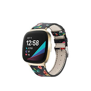 Fitbit Versa 4 Sense 2 EFAu[EX}[gEHb`  oh PUU[f rvxg X|[c xg p xg ւxg ȒP u₩ gтɕ֗   x