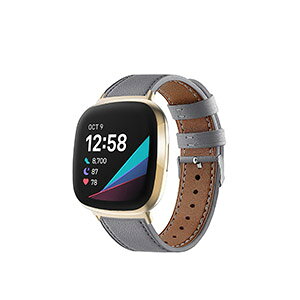 Fitbit Versa 4 Sense 2 EFAu[EX}[gEHb`  oh PUU[f rvxg X|[c xg p xg ւxg ȒP u₩ gтɕ֗   x