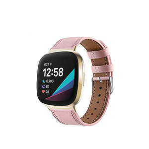 Fitbit Versa 4 Sense 2 EFAu[EX}[gEHb`  oh PUU[f rvxg X|[c xg p xg ւxg ȒP u₩ gтɕ֗   x