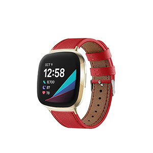 Fitbit Versa 4 Sense 2 EFAu[EX}[gEHb`  oh PUU[f rvxg X|[c xg p xg ւxg ȒP u₩ gтɕ֗   x