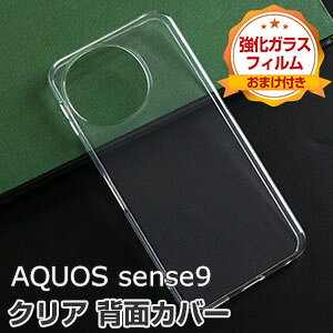 SHARP AQUOS sense9 SHG14/SH-53E P[X ϏՌ Jo[ یP[X TPUf NA CASE   \tgJo[ Ռɋ Xgbvz[t lC V[v ANIX ZX9 P[X w Jo