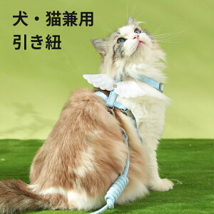 ELpR    L  n[lX [h Zbg ybg  p xXg ʋCQ  y pSn悭 [v Ђ ybgpi ^ L U 